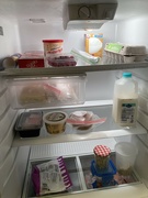 1st Jun 2023 - refrigerator 