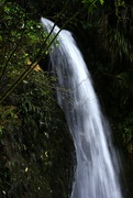 5th Jun 2023 - 5 Waterfall 