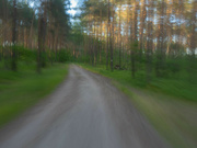 3rd Jun 2023 - Forest Road