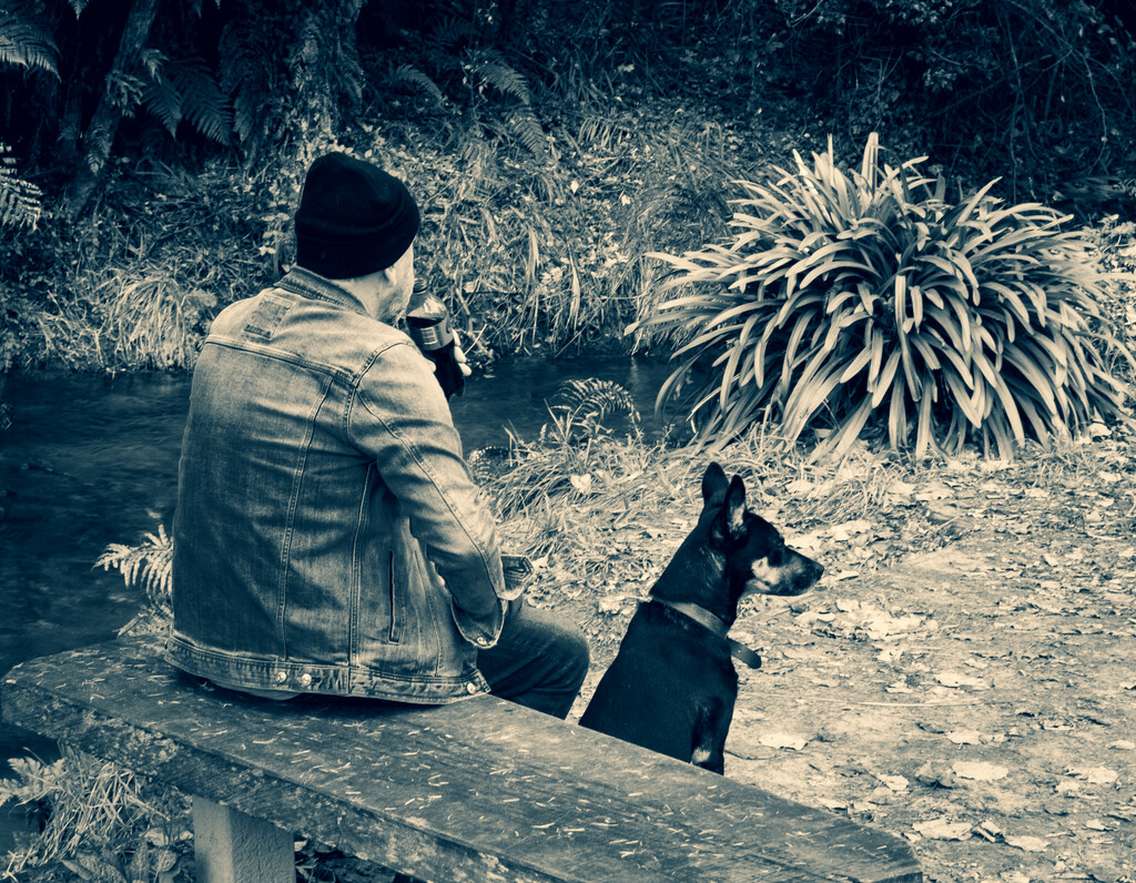 A man and his dog by 365projectclmutlow