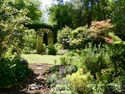 4th Jun 2023 - A private garden, open to the public for charity