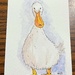Duck, Duck, Goose by artsygang