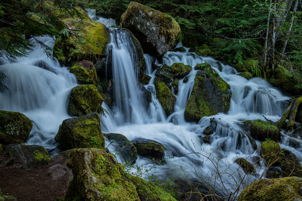 Lower Watson Falls, Oregon by theredcamera
