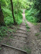 4th Jun 2023 - Woodland Stairs