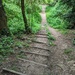 Woodland Stairs