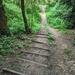 Woodland Stairs by serendypyty