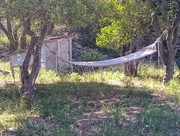 4th Jun 2023 - Olive Grove Relaxation 