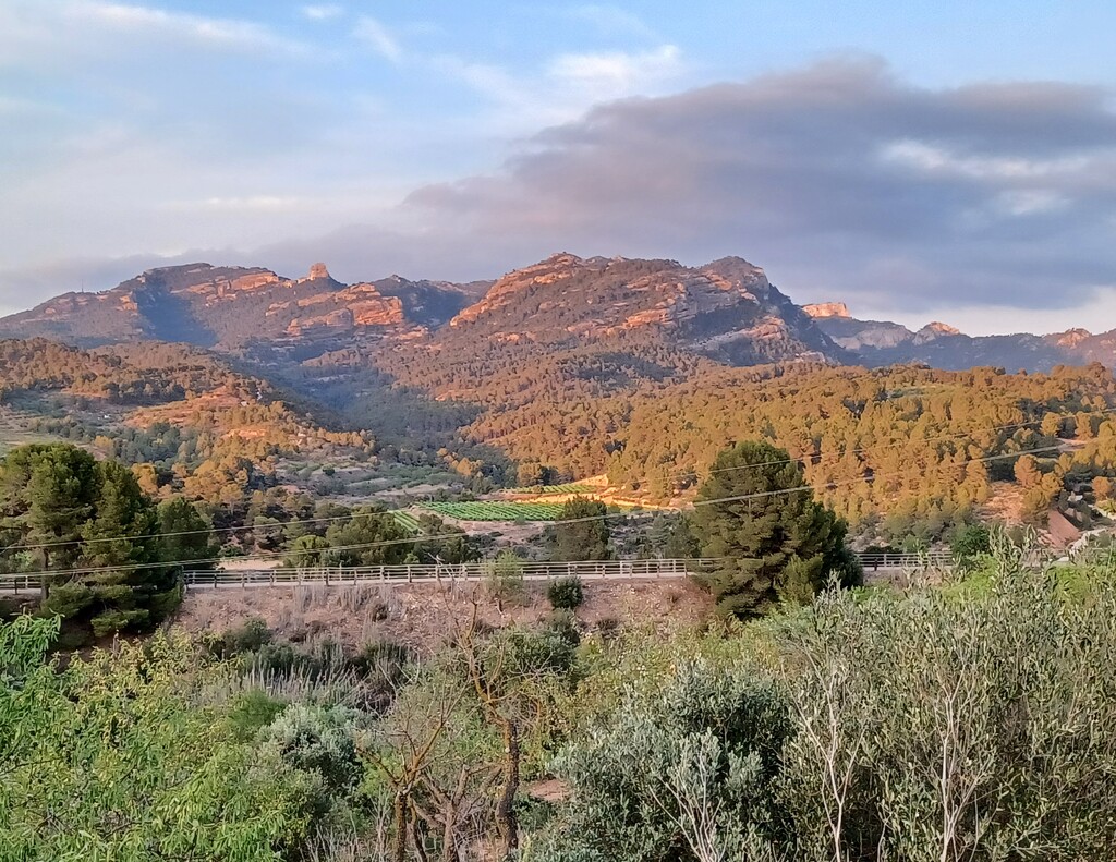  Terra Alta  by busylady