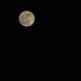 Strawberry Moon 6-3-23 by lynbonn