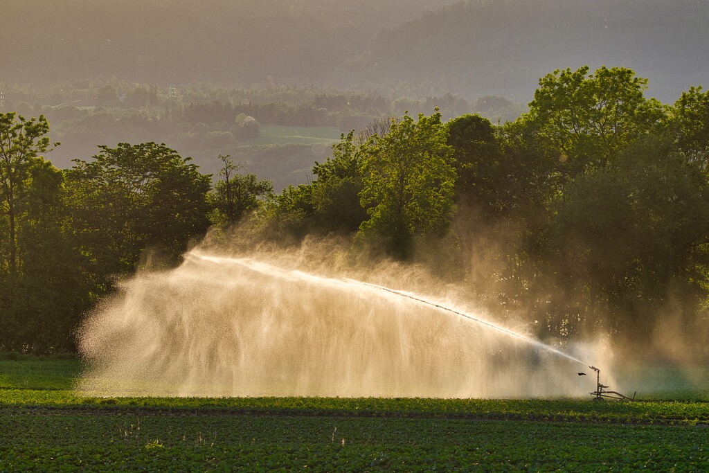 Irrigation sprinkler by okvalle