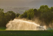 4th Jun 2023 - Irrigation sprinkler