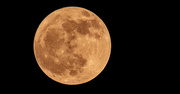 3rd Jun 2023 - Last Night's Full Moon!