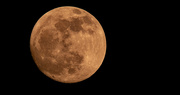 2nd Jun 2023 - Night Before Full Moon!