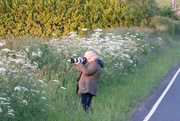 3rd Jun 2023 - Greater Spotted Photographer