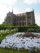 31st May 2023 - Cathedral and irises.
