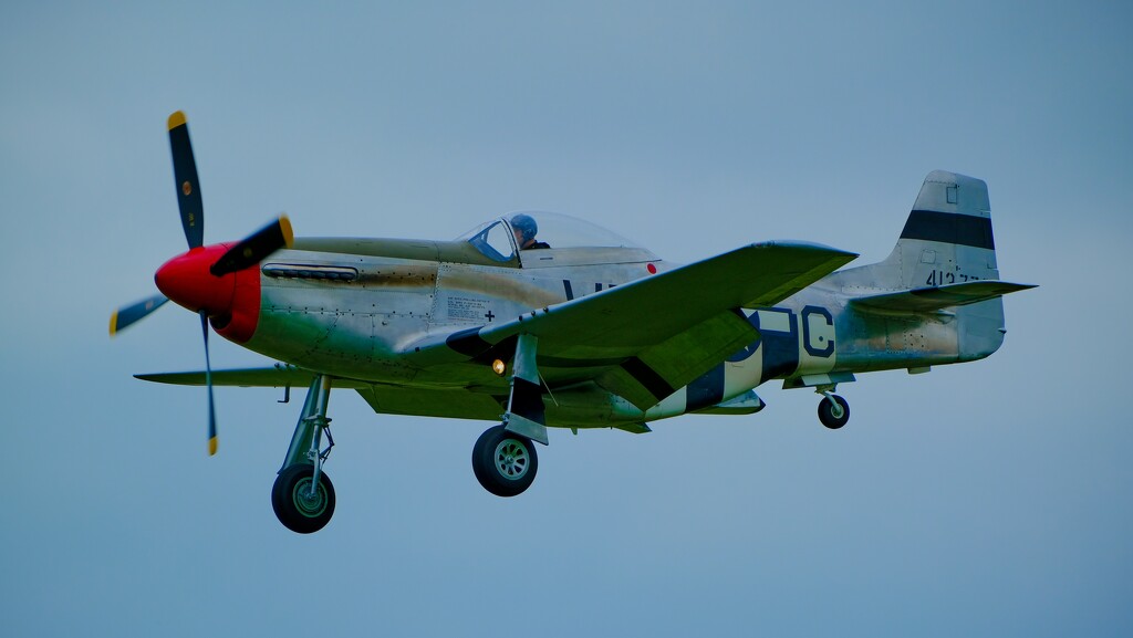 P51 Mustang by brocky59