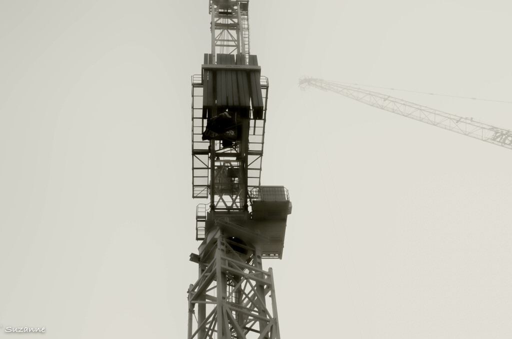 Cranes in the morning mist by ankers70