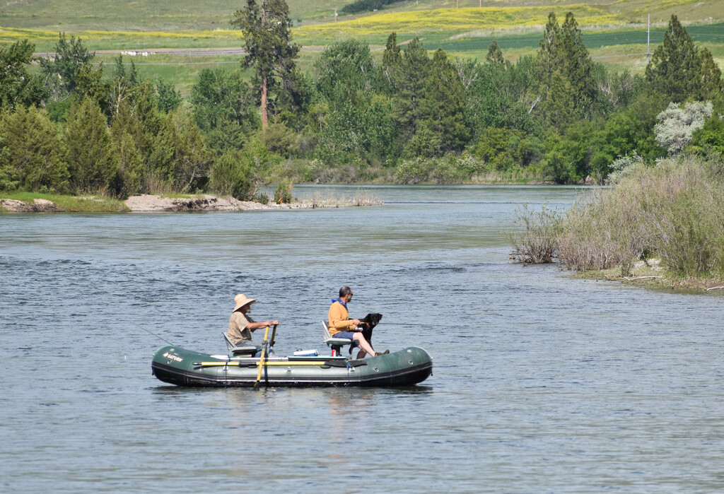Lazy Day Activity On The Flathead River by bjywamer