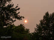 6th Jun 2023 - Smokey Sunrise 
