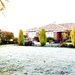 Frosty morning