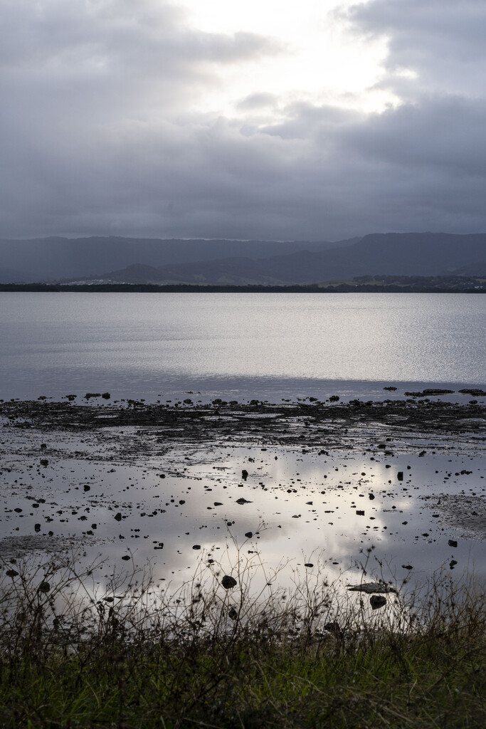 Lake Illawarra 4 by deidre