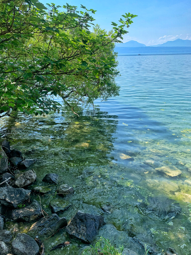 Lac Léman (lake Geneva).  by cocobella