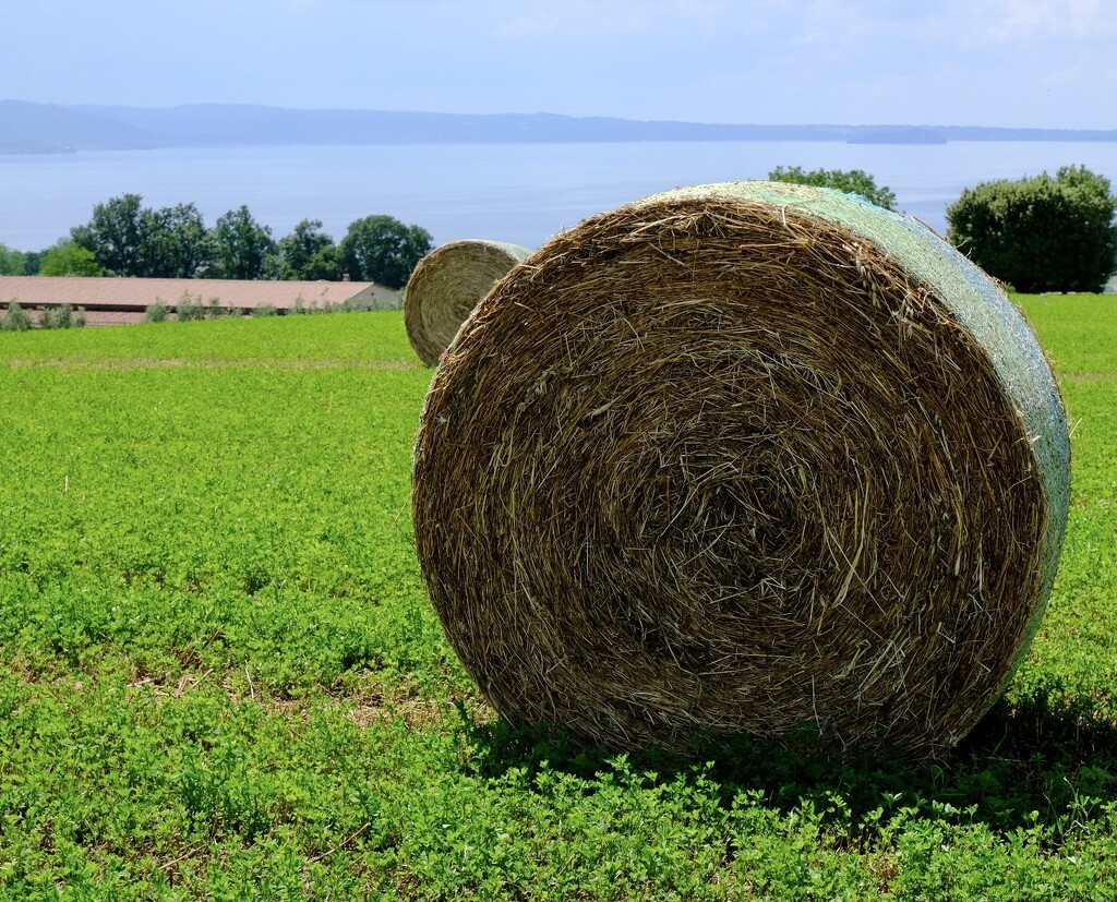 Italian hay bale by 365nick