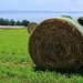 Italian hay bale by 365nick