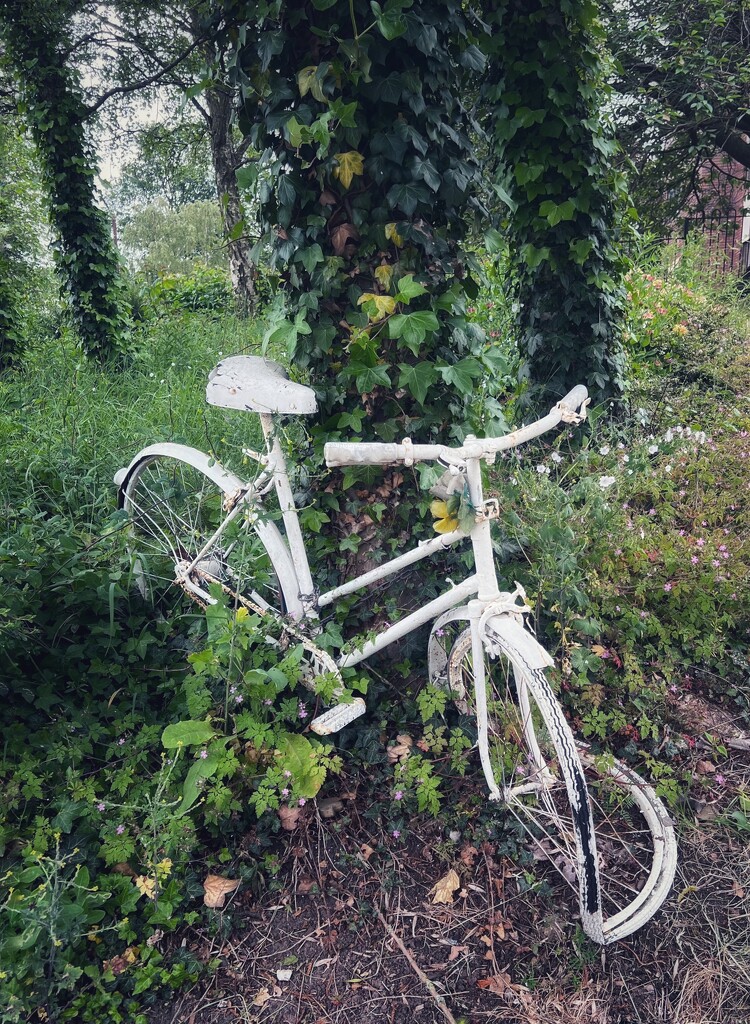 Ghost bike by tinley23