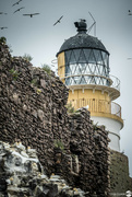 7th Jun 2023 - Bass Rock Lighthouse