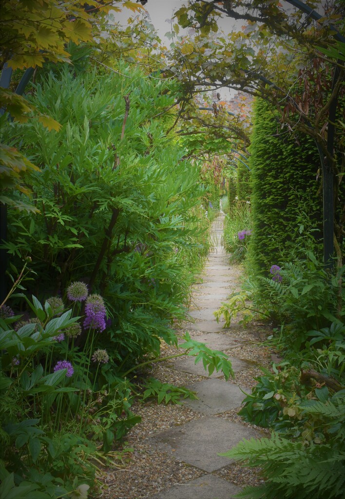An enticing pathway... by anitaw