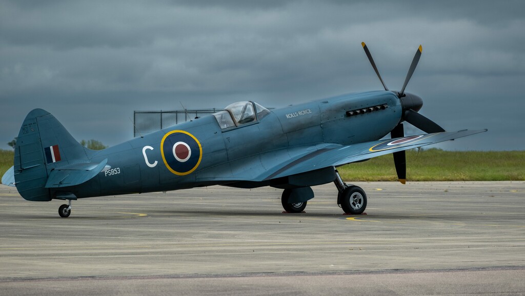 Spitfire by brocky59