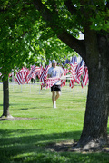4th Jun 2023 - Setting up flags for Field of Heroes