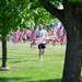 Setting up flags for Field of Heroes