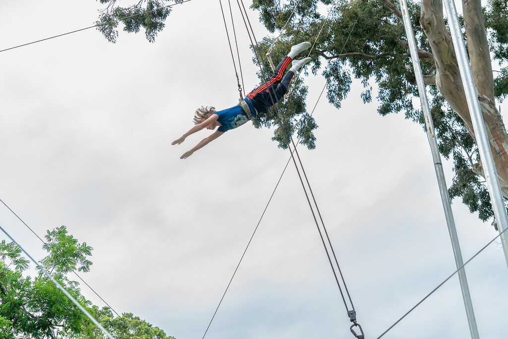 That Daring Young Man on the Flying Trapeze! by Weezilou