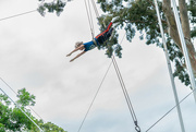 7th Jun 2023 - That Daring Young Man on the Flying Trapeze!