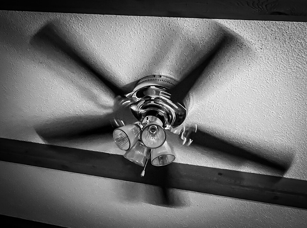 Ceiling Fan by sburton