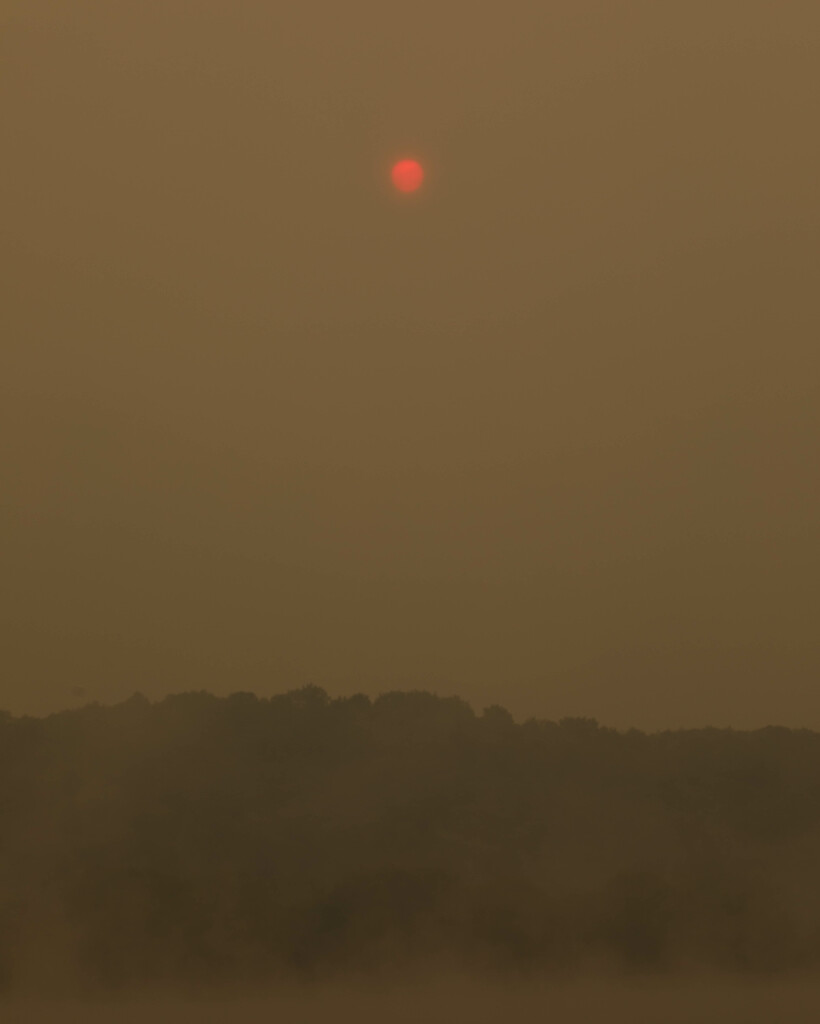 Red sun at morning by pamalama