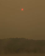 6th Jun 2023 - Red sun at morning