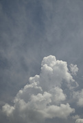 7th Jun 2023 - Fluffy Clouds