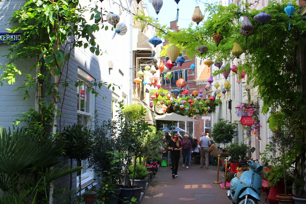A lovely decorated street  by pyrrhula