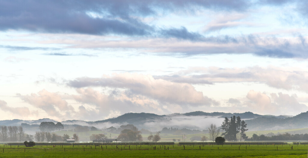 Low Cloud on the drive to work by nickspicsnz