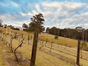 28th May 2023 - Lovedale