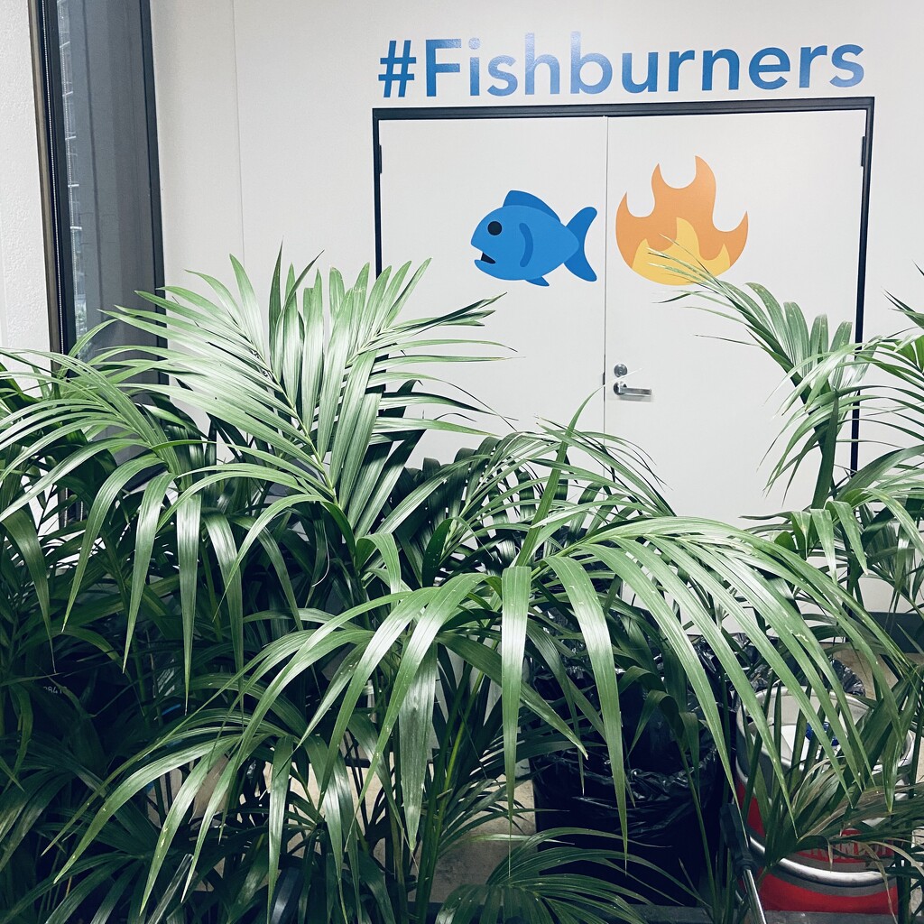 Fishburners  by sarahabrahamse