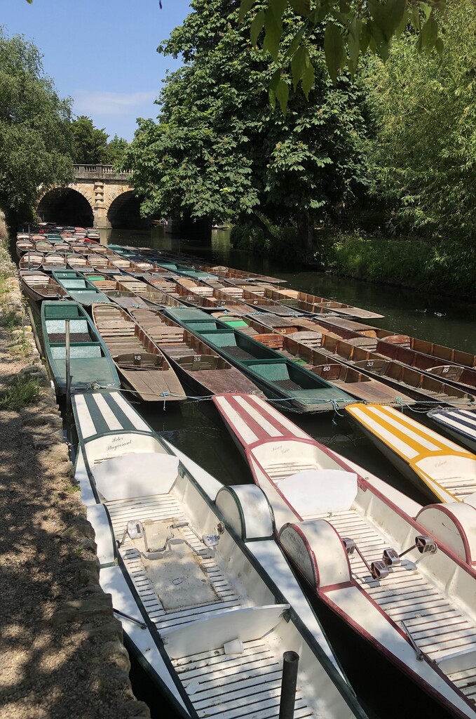 Punts and Pedalos in Oxford by susiemc
