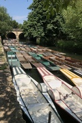 7th Jun 2023 - Punts and Pedalos in Oxford