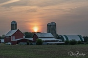 5th Jun 2023 - Sunset down on the farm 
