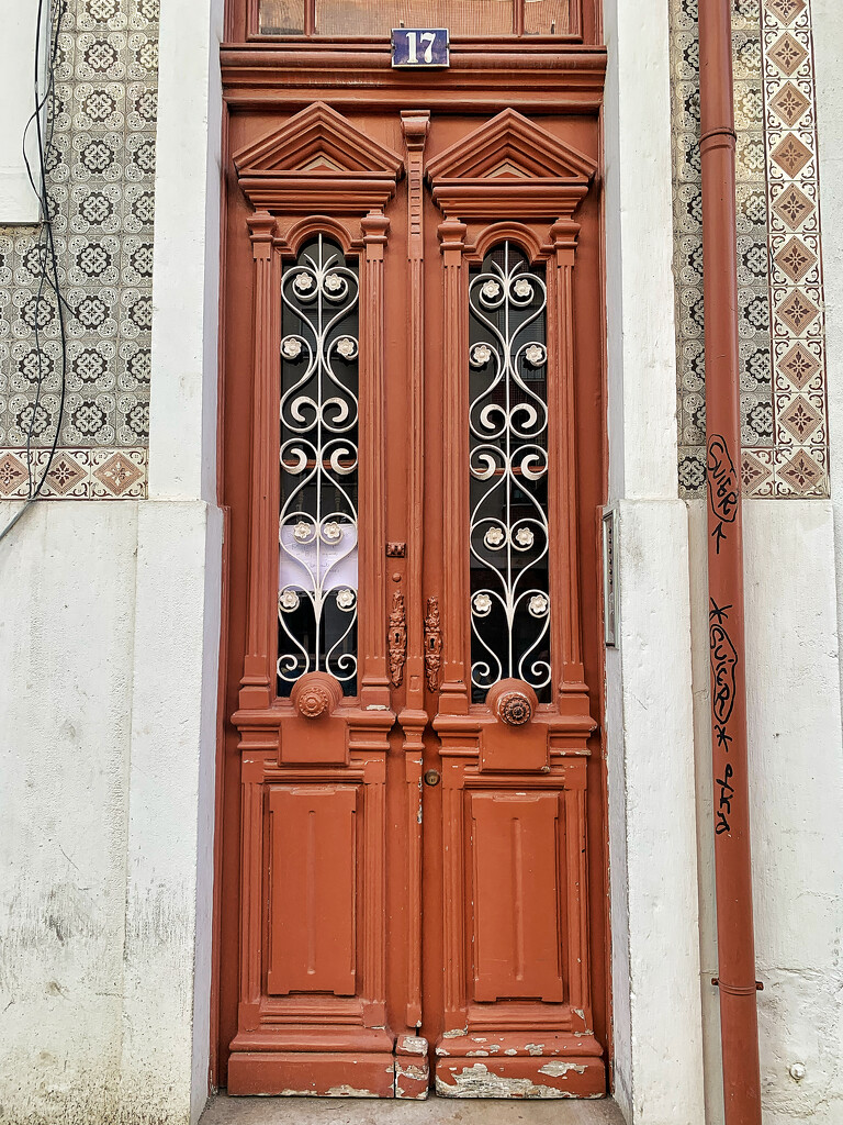 Eight white hearts on brown door.  by cocobella