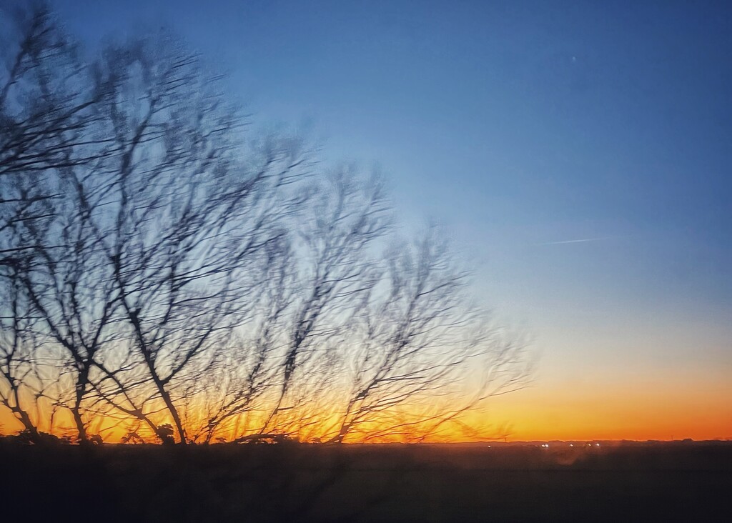 Sunset from the Train by carolinesdreams