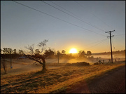 11th Jun 2023 - Winter morning in the Australian country